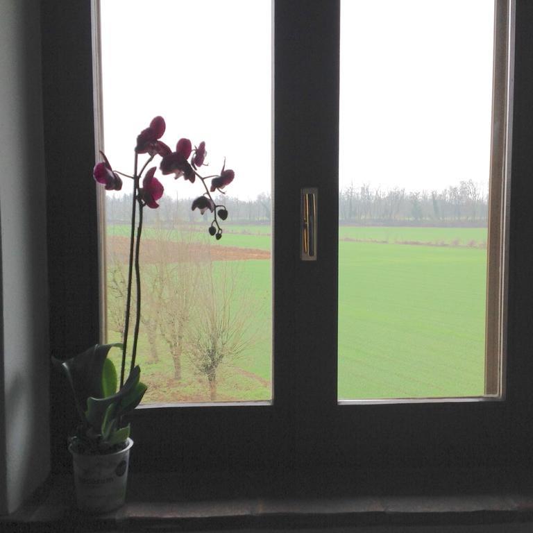 Agriturismo La Morosina อับเบียเตกรัสโซ ห้อง รูปภาพ